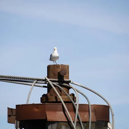 Gemuetliche Haushaelfte Mit Garten Und Terrasse Apartment Flensburg